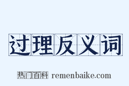 过理反义词是什么意思的图片